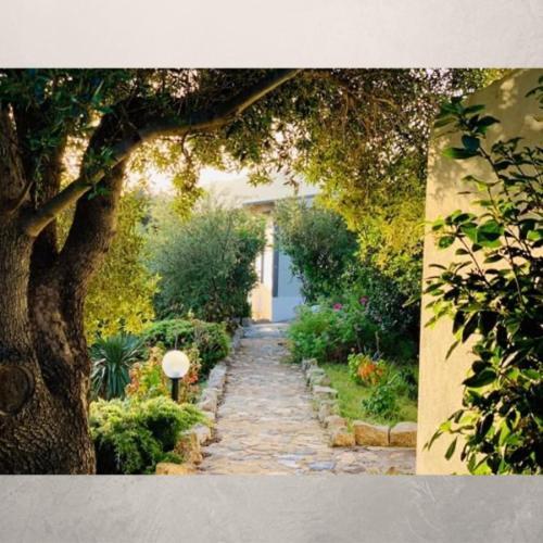 Locanda Murales - Turismo Rurale Olbia Dış mekan fotoğraf